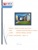 SISTEMA GESTION AREA FINANZAS