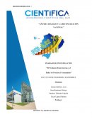 El Producto Bruto Interno y el Índice de Precios al Consumidor