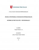 Informe de practicas profesionales