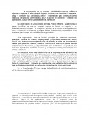 Tipos de organizacion