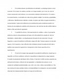 La problemática de identidad y su despliegue plural