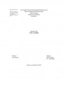 Ensayo de Los Valores