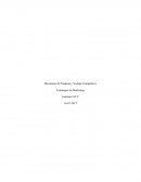 Decisiones de Producto y Ventaja Competitiva. Estrategias de Marketing