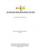 Vulnerabilidad informatica