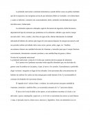 Piramide alimenticia. Niveles de la pirámide nutricional