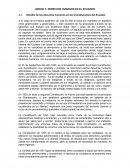 DERECHOS HUMANOS EN EL ECUADOR