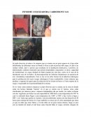 INFORME COQUIZADORA CARBOFRONT SAS