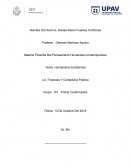 Humanidad existencial