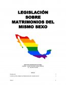 LEGISLACIÓN SOBRE MATRIMONIOS DEL MISMO SEXO