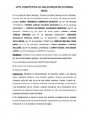 Acta constitutiva de una sociedad de economia mixta