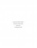 Actualización de Tablas en MySQL