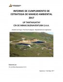 INFORME DE CUMPLIMIENTO DE ESTRATEGIA DE MANEJO AMBIENTAL