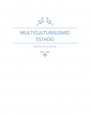 MULTICULTURALISMO ESTADO