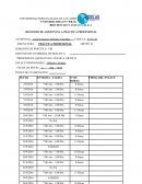 REGISTRO DE ASISTENCIA A PRÁCTICA PROFESIONAL