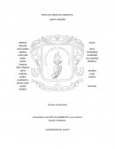 PERFIL DEL PROYECTO AMBIENTAL LAGO EL BOLSÓN