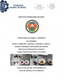 Práctica #4. Oxidación de Alcoholes