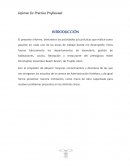 Informe practica profesional Hotelería y Turismo