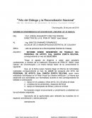 INFORME SOBRE DESEMPEÑO DE TRABAJO DEL PERSONAL DE APOYO