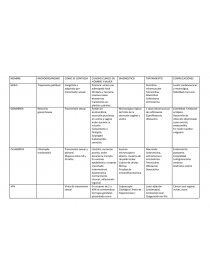 Enfermedades De Transmision Sexual Cuadro Apuntes Viri12<script async src=