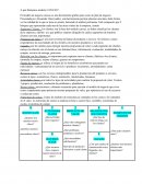 A qué llamamos modelo CANVAS?