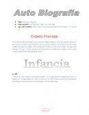 Etapas de la vida . Mis metas