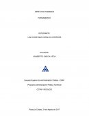 Programa Administración Pública Territorial