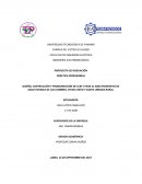 Diseño, desarrollo y construcción de Centro de Control de Motores