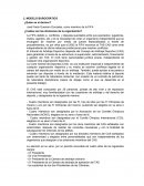 Analisis toma de decisiones. La FIFA