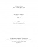 RETO 3 – APRENDIZAJE UNADISTA