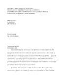 Yacimiento. TABLAS DE MATERIALES, EQUIPOS E INSTRUMENTOS