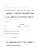 Economia. En que consiste la estrategia mínimax y maximin