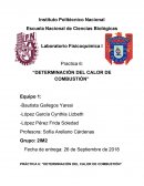 Practica 6: “DETERMINACIÓN DEL CALOR DE COMBUSTIÓN”