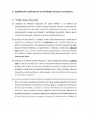 Identificación y definición de las actividades primarias y secundarias