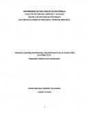 Sociedad anonima profesional Una propuesta en la legislación guatemalteca