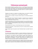 Yellowstone national park