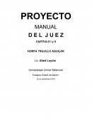 PROYECTO MANUAL D E L J U E Z