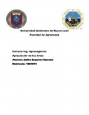 Apreciacion de las artes, evidencia 5