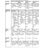 Rúbrica para evaluar presentación de proyectos