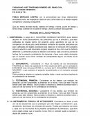 PRUEBAS EN EL JUICIO PRINCIPAL