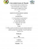 PIS (PROYECTO INTEGRADOR DE SABERES)