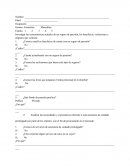 Investigar las características actuales de un seguro de pensión