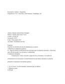 Descripción, Análisis y Argumento. Actividad 1: Reseñando obra ELLAS