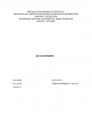 Ensayo Las sociedades