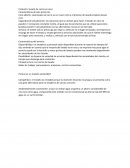 Producto: lavado de carros en seco