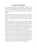 EL MERCADO LABORAL en la Provincia de Bocas del Toro