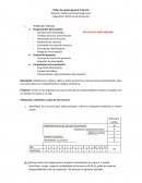 Taller de gestion. Programación del proyecto