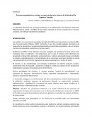 Procesos organizativos, turismo y conservación en la reserva de la biosfera Ría Lagartos