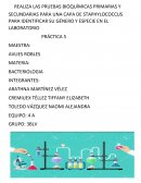 Reporte de practica staphylococcus