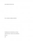 MECANISMO DE PROTECCION