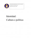 Identidad, cultura o politica
